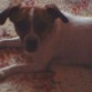 esta si que esta guapa .Esta toda comoda en la cama grande jeje :)